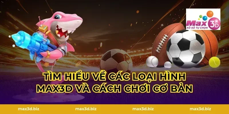 Tìm hiểu về các loại hình max3d và cách chơi cơ bản