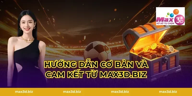Hướng dẫn cơ bản và cam kết từ max3d.tech