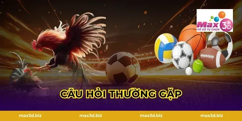 Câu hỏi thường gặp